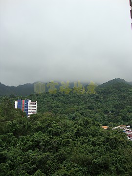 金獅花園 第01期