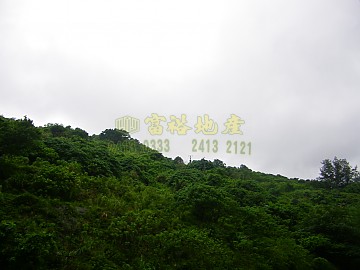 荃威花園