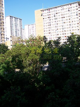 金獅花園 第01