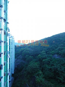 荃威花園 靚山景