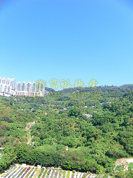 荃景花園