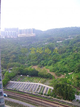 荃景花園