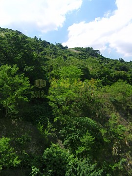 荃威花園