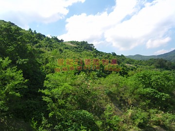 荃威花園 新裝修..
