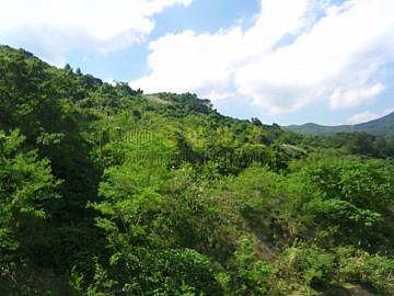 荃威花園