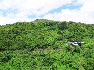 荃威花園 荃威花園