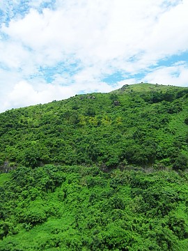 荃威花園 荃威花園
