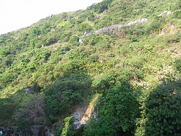 荃威花園 荃威花園