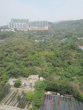 荃景花園 荃景花園