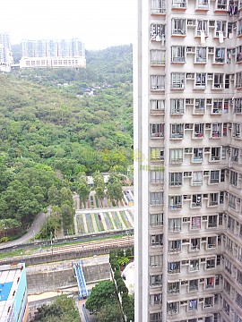 荃景花園