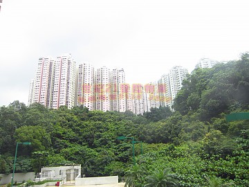 錦豐園 第01座 全屋靚裝 錦豐園 第01座 全屋靚裝