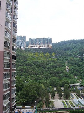 荃景花園
