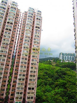 荃灣中心 荃灣中心