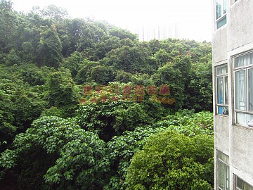錦豐園 第01座 全屋靚裝 錦豐園 第01座 全屋靚裝