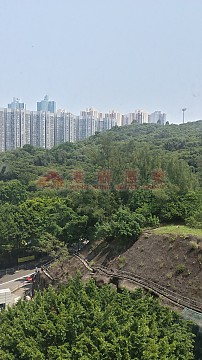 麗港城 藍田 中層 S776480 售盤