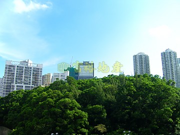 荃景花園