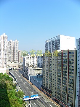 錦豐園