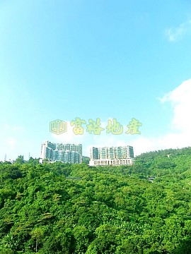 荃灣中心 荃灣中心