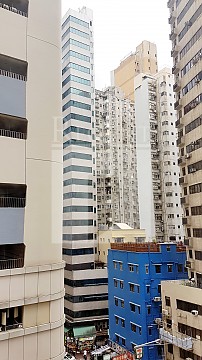 Hua Qin Int