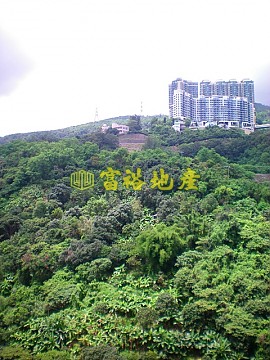 荃灣中心 荃灣中心