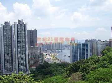荃威花園 荃威花園