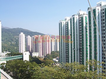 荃威花園 荃威花園