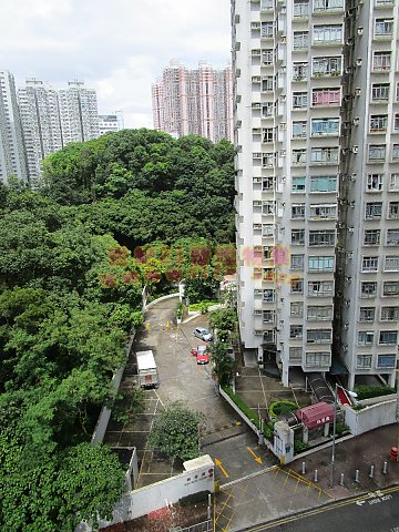 荃德花園 荃德花園
