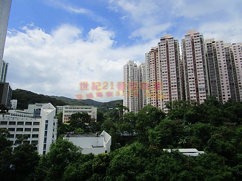 荃德花園 荃德花園