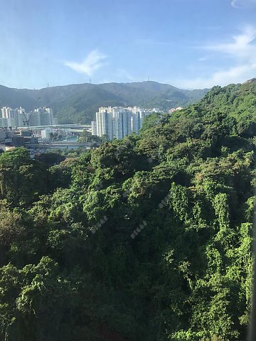 愉景花園