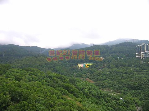 荃威花園
