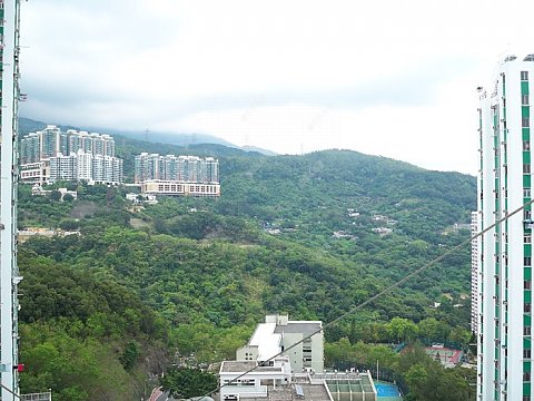 荃威花園