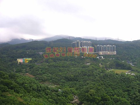 荃威花園