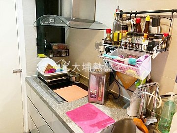 富萊花園 大埔 中層 013877 售盤