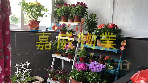 大水坑村 @ EMILY 95080096