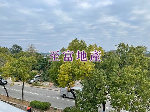 布心排 大埔 1000104 售盤