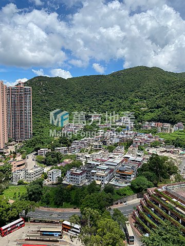 广林苑 沙田 高层 Y003347 售盘