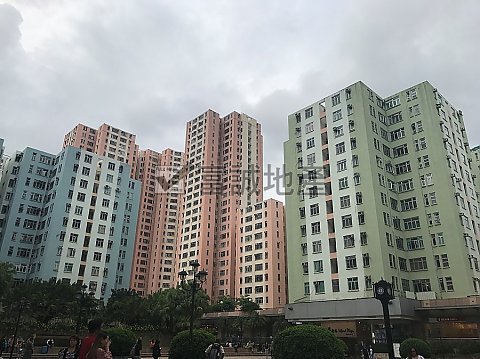 德福花園 九龍灣 L086167 售盤