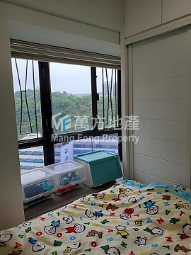 SUNSHINE GROVE Shatin L Y002942 For Buy