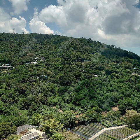 荃灣中心 荃灣中心