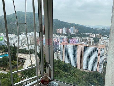 SCENERY GDN Shatin S016491 For Buy