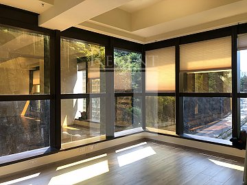 Hong Kong Industrial, Regent