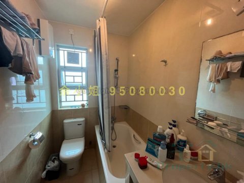 井頭村 95080030