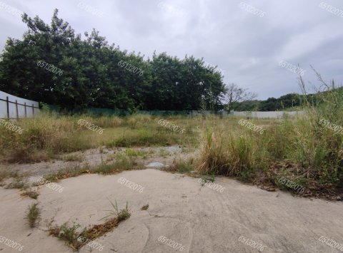 露天吉地 元朗 M078411 售盤