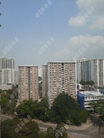 金獅花園 第01期 金獅花園 第01期