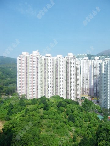 錦豐園