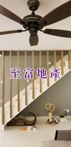 林 大埔 低層 1064592 售盤