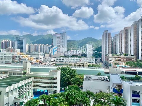 SUNSHINE GROVE Shatin L Y003677 For Buy