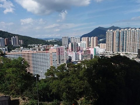 SCENERY GDN Shatin S001194 For Buy