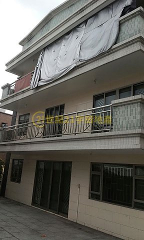 元嶺村 大埔 地下 T152387 售盤
