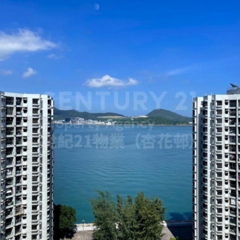 杏花村 柴灣 1135149 售盤
